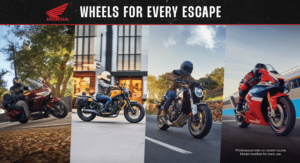 Read more about the article Beginner’s Guide to Choosing Your First Motorcycle